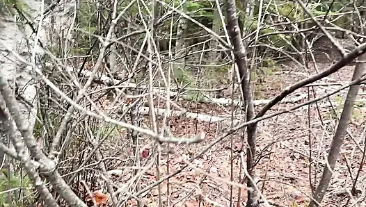 pee sexy on the forest so cool