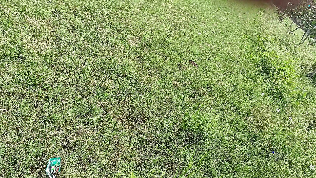 Beautiful forest big cock masterb