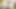 アジアン・エンジェル 28194