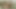 胸はないけど、セックスは最高だ