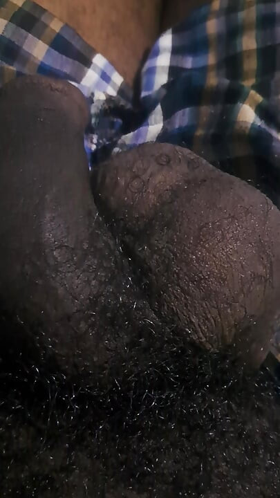 Big black dick. Large penis with veins