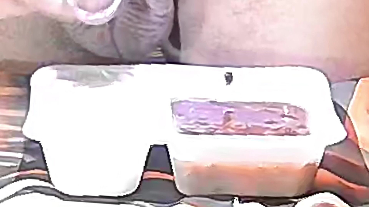 По просьбе, я писсю что-то в свою еду. Я также поправлю.