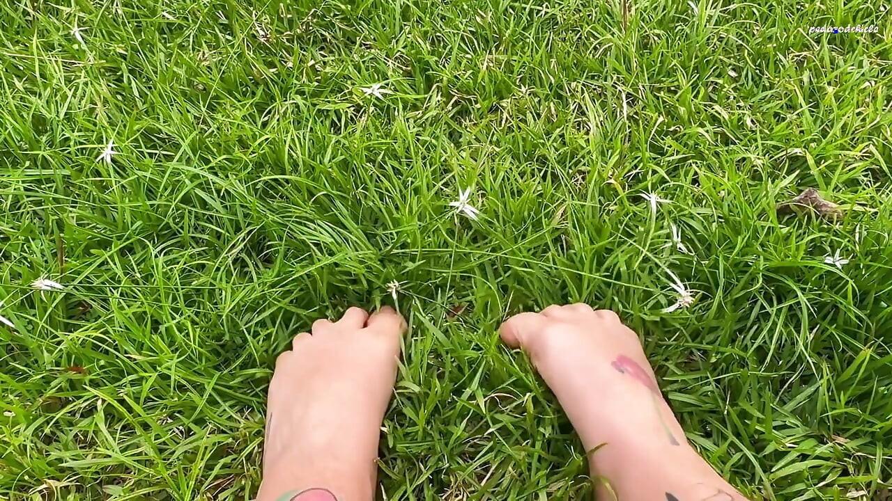 I Let You See My Feet Rubbing and Pressing Against the Grass