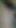 Leak sri lankan hairy wet horny pussy
