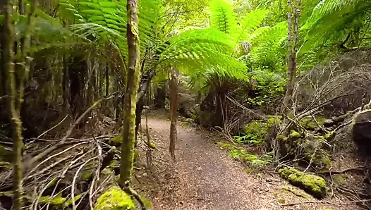 Hintli desi iki arkadaş bir erkekle sert sikişiyor