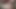 セクシービデオ