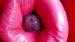 Pregled videozapisa