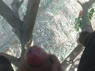 Tlustý čerstvý penis mládence na stromě, nejlepší hindské sexuální video 720p full hd