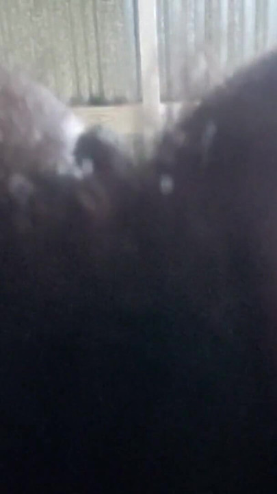 Natural Hairy Beauty – Authentic Amateur POV with Real Unfiltered Look | Clip 1