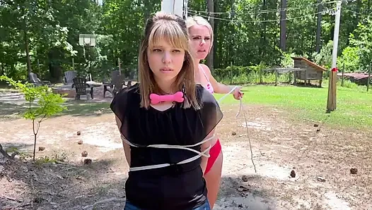 Bitchy stepsisters