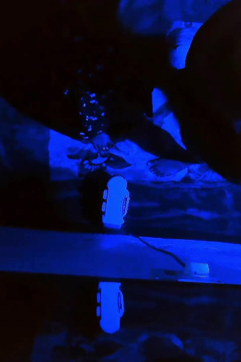 Indian Couple Fucking in Night