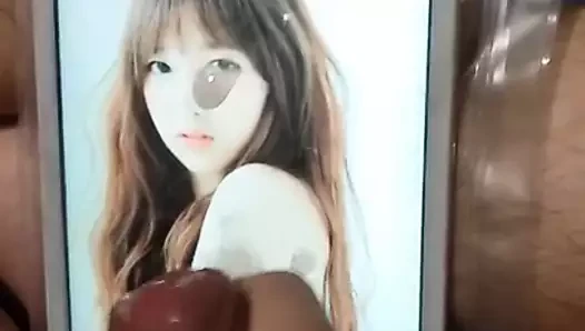Cheng xiao döl haraç