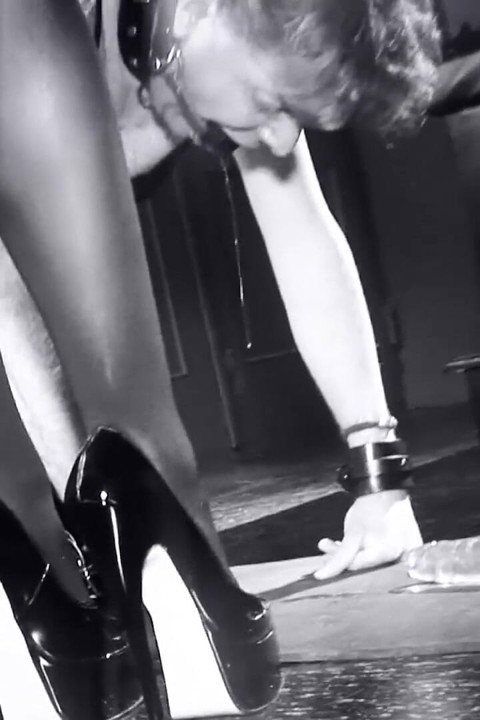 Crossdresser niewolnicy liżą kochanki sika