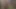 Black Sissy Ladyboy Rides Shemale Orc Dick
