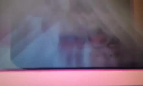 camgirl surprised by her own tribute