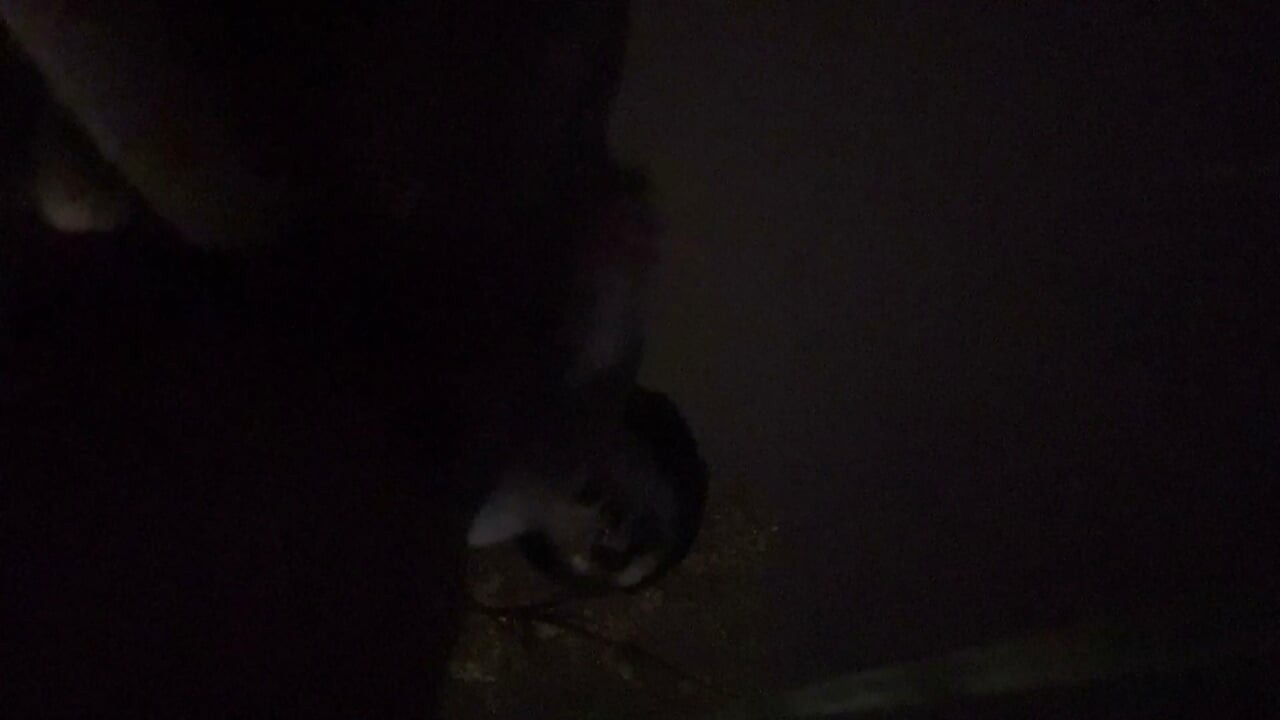 Fooling Around At Night Outside On The Sidewalk Fully Naked Final Part 5 Where I Nut On Yo Face