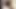 Cum Content Alert, Big Dick Thai Ladyboy 🍆