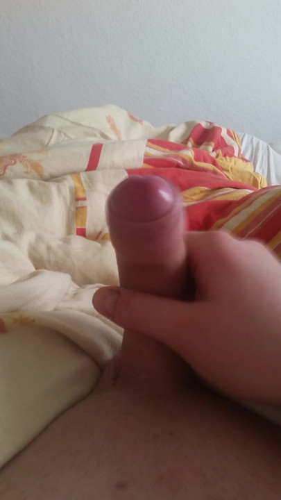 Morning wood  fun
