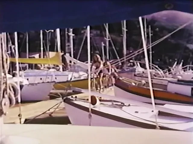 Après-midi nu (1976)
