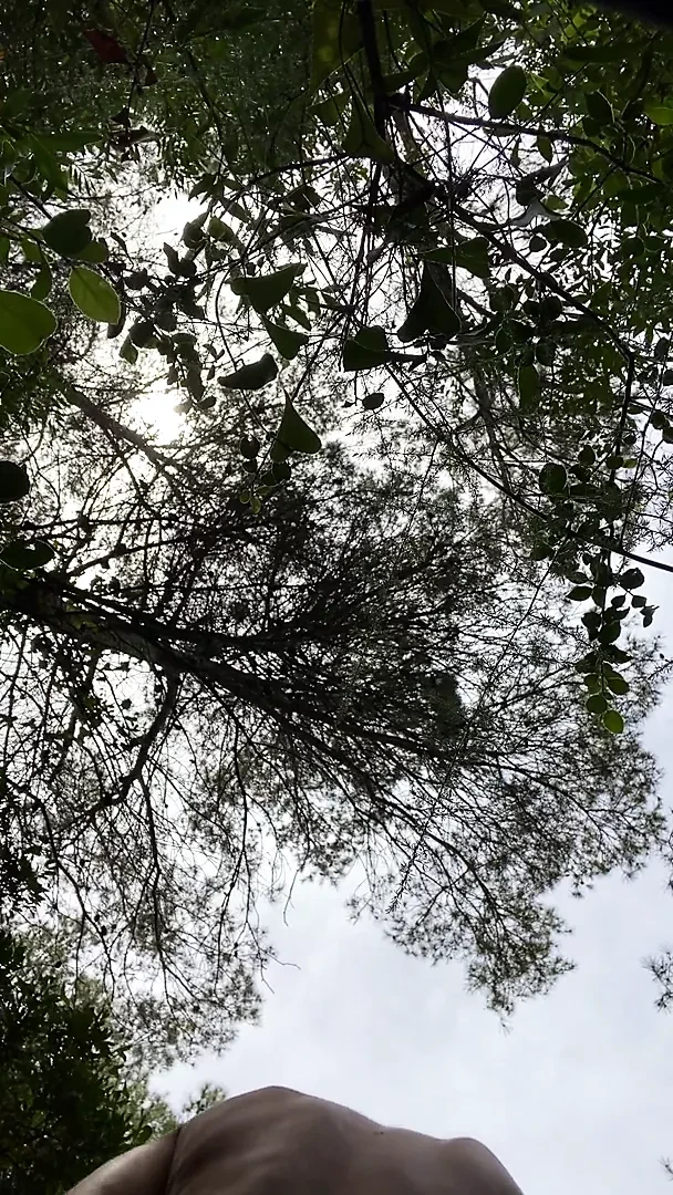 Вскоре загрузка