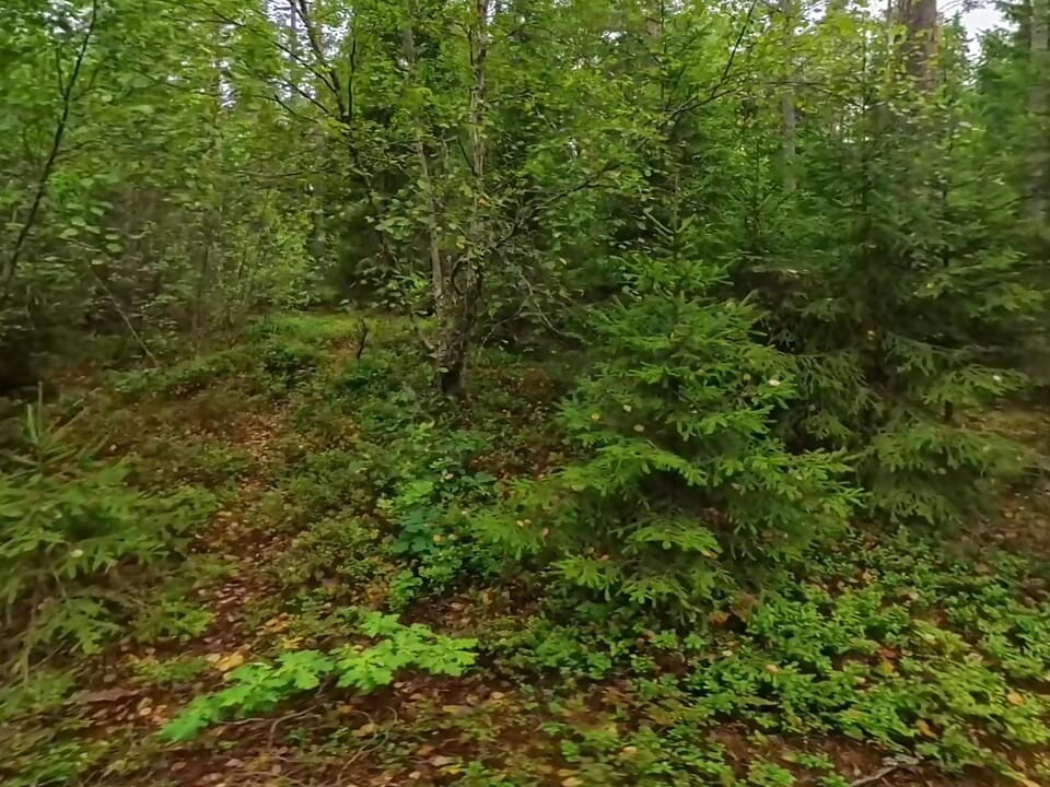 Naked at a "Stuga" in Sweden