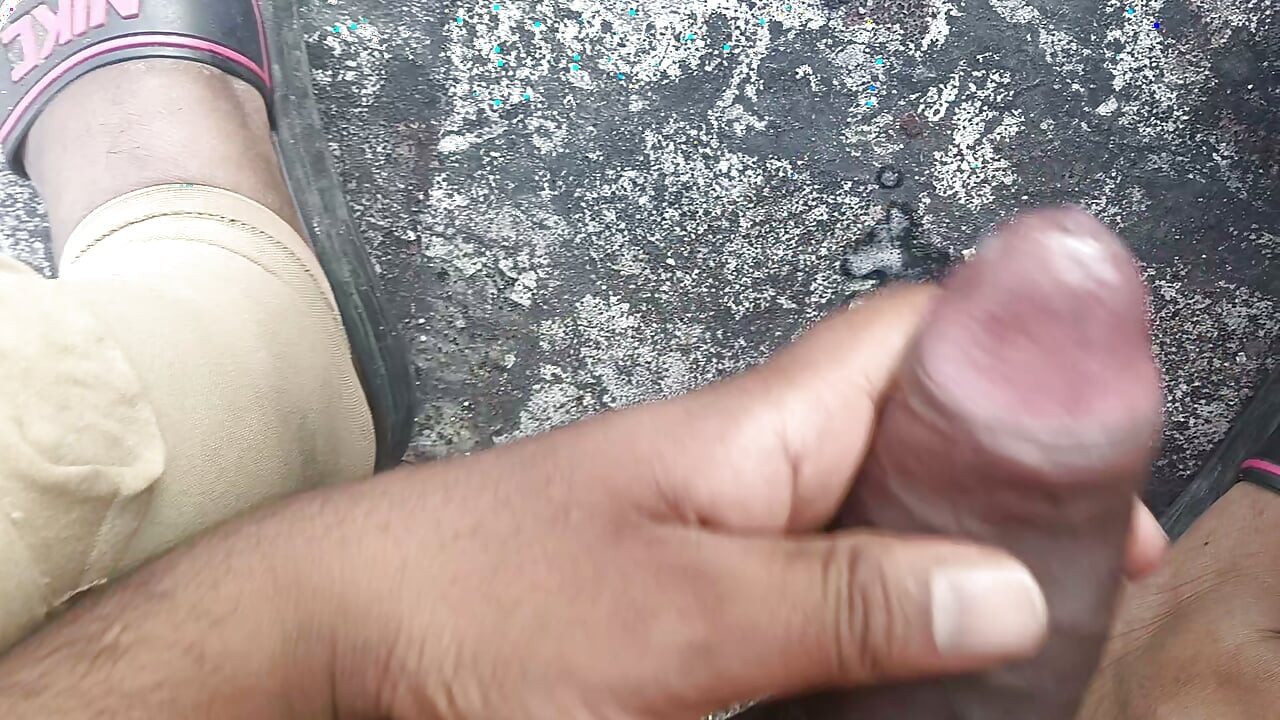 Fui ao terraço de casa e tirei o leite do pau