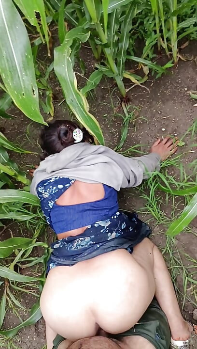 Gaon ka shuddh real desi Makka ki khet ka sexy video bhabhi apni Badi gand Apne devar se marva rahi hai Makka ke khet mein bhabhi ki gand ma