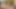 レズビアンが柔らかい体と大きな胸を楽しむと、ロマンチックなセックスをします