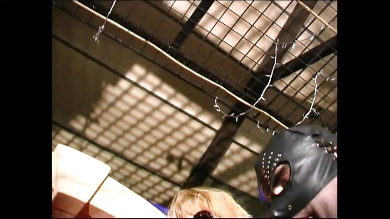 Fetiche de experiência sexual selvagem