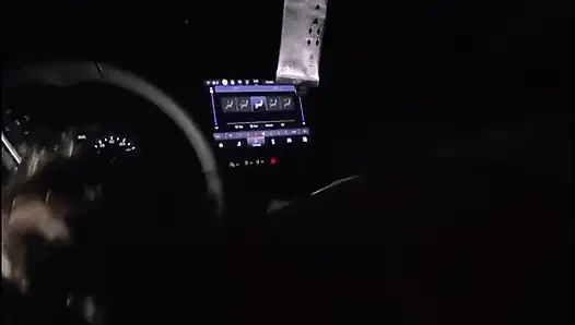 Ich Lutsche Den Schwanz Des Fahrers, Nachdem Ich Mich POV Abgeholt Hatte