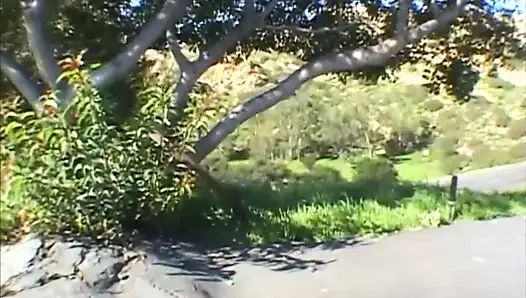 Beautiful Young Girl Throated and Ass Fucked Then Cummed in Mouth