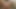 Nest Baby voli u svojoj pički - POV