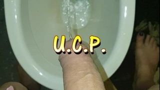 Ucp