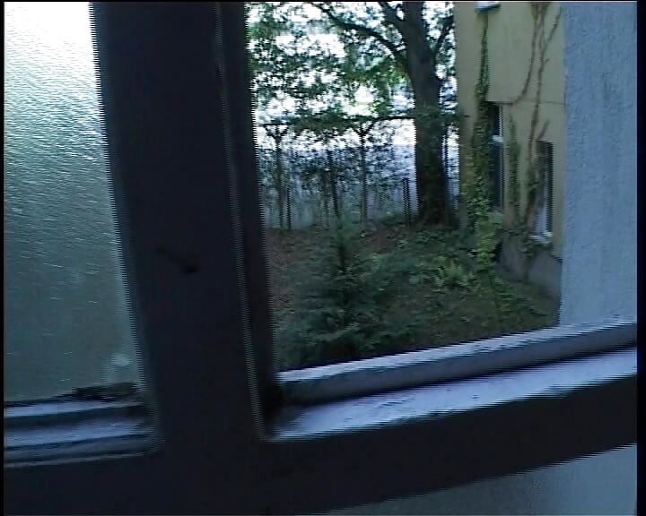 Behind German Doors Is Fucked Diligently - Full Movie