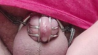 chastity prostate milking