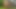 Beautyful joyful cum bucket of teeny expects wide open for big cock  pole it