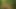 OMA verfuehrt jungen Studenten im Wald