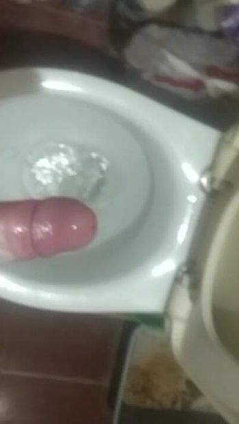 Masturbation,, Toilet