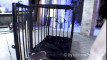 Pratinjau video