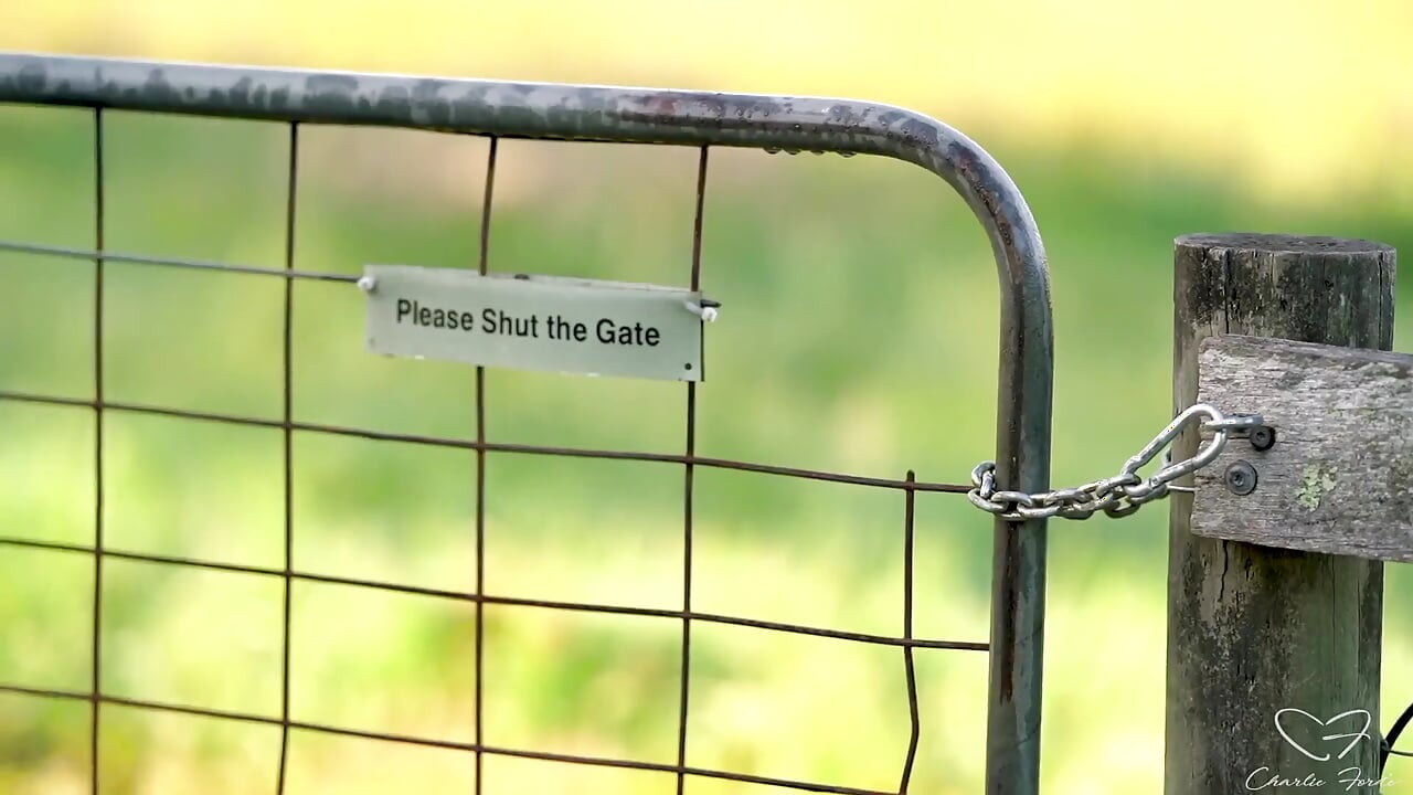 Homeward Bound Part 3: Stray Featuring Charlie Forde, Finley Kay, Caleb Arcane