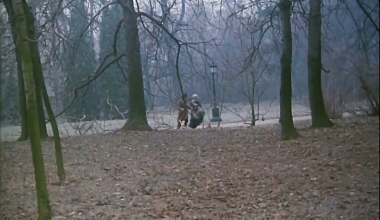 Hairy vintage pussy licking anal penetrated in the Budapest castle