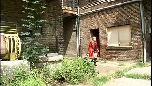 Die Alten Freudigen Frauen (filme)