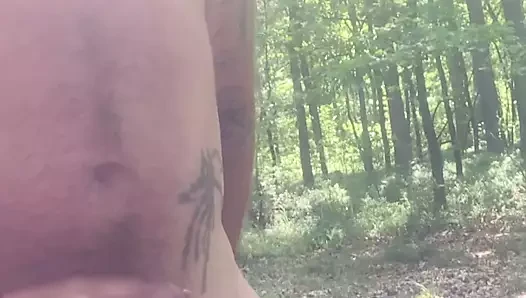 forest