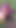 My elder brother's wife from Desi village was in an outdoor field with her shorts off, urinating, putting her finger in her pussy, and changing the corvette to take her brother-in-law's thick cock in her ass. | Clip 2
