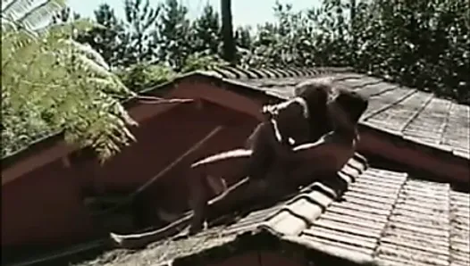 Hot Anal Sex on the Roof of the house
