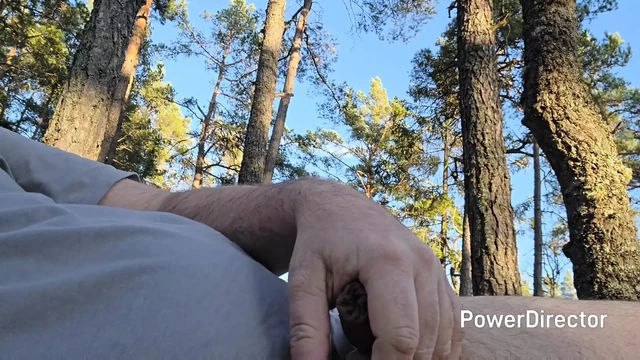 Swedish guy jerking off in the forest