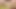 Cumswapping amateur skinny Latino bareback banged by BF