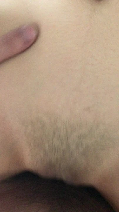 yakın yukarı kedi lanet