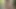 Share My BF - Serena Santos, Sofie Reyez  - Island Getaway