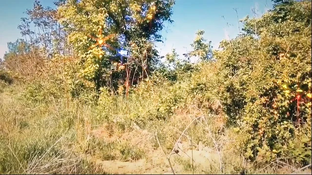 Я снова показываю свои сиськи на природе